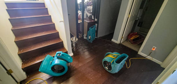 Best Water damage repair service  in Killen, AL