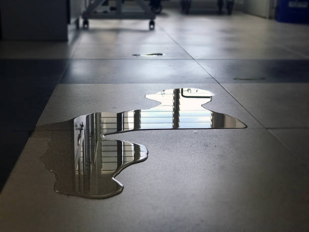 Best Commercial water damage restoration  in Killen, AL