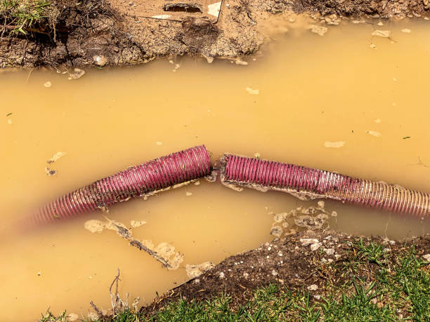 Best Commercial water damage restoration  in Killen, AL
