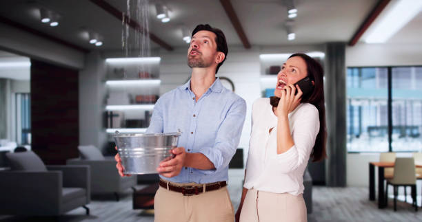 Best Water damage restoration near me  in Killen, AL