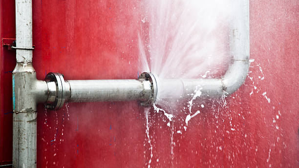 Best Flood damage cleanup  in Killen, AL